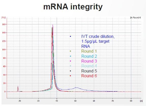 DynabeadsCA_data2.jpg