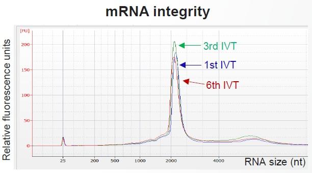 DynabeadsSA_data2.jpg