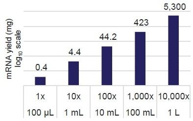 Dynabeads_rna_scaleup1.jpg