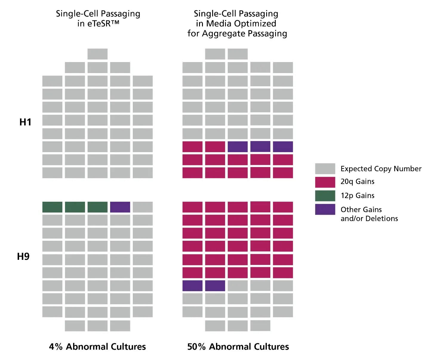 Genetic_Stability_Data_Figure.jpg