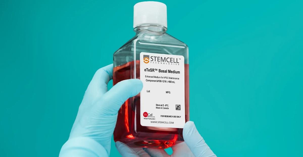 ヒト多能性幹細胞のシングルセル培養には「eTeSR™」